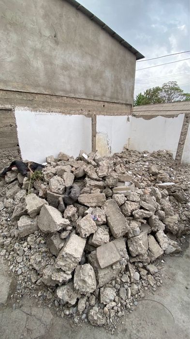 Блужник тегін келіп артып ап кетсеңдер болд