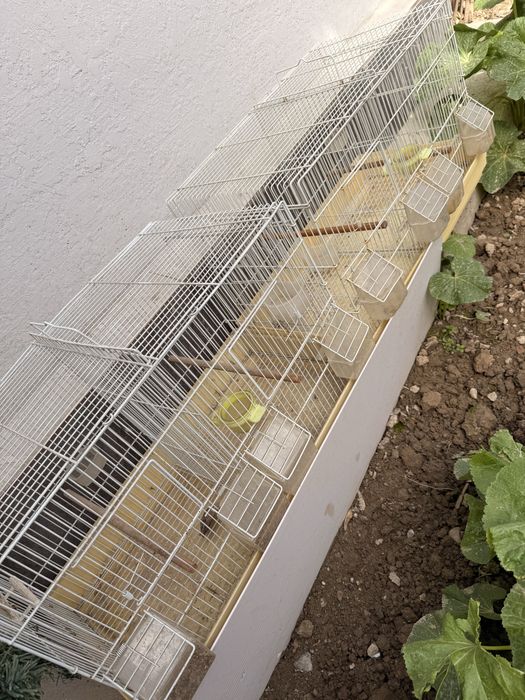 Продам клетки 2штуки