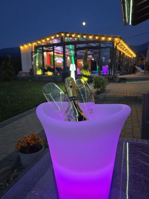 Cabana cu piscina încălzită si jacuzzi