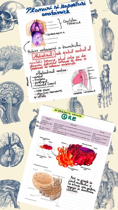 Meditatii biologie Admitere si Bac