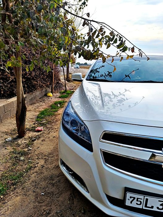 Moshinaga javob ideal holatda