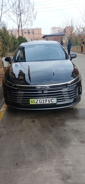 Byd Chazor 2024yil