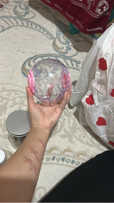 Хомяк , полный компл