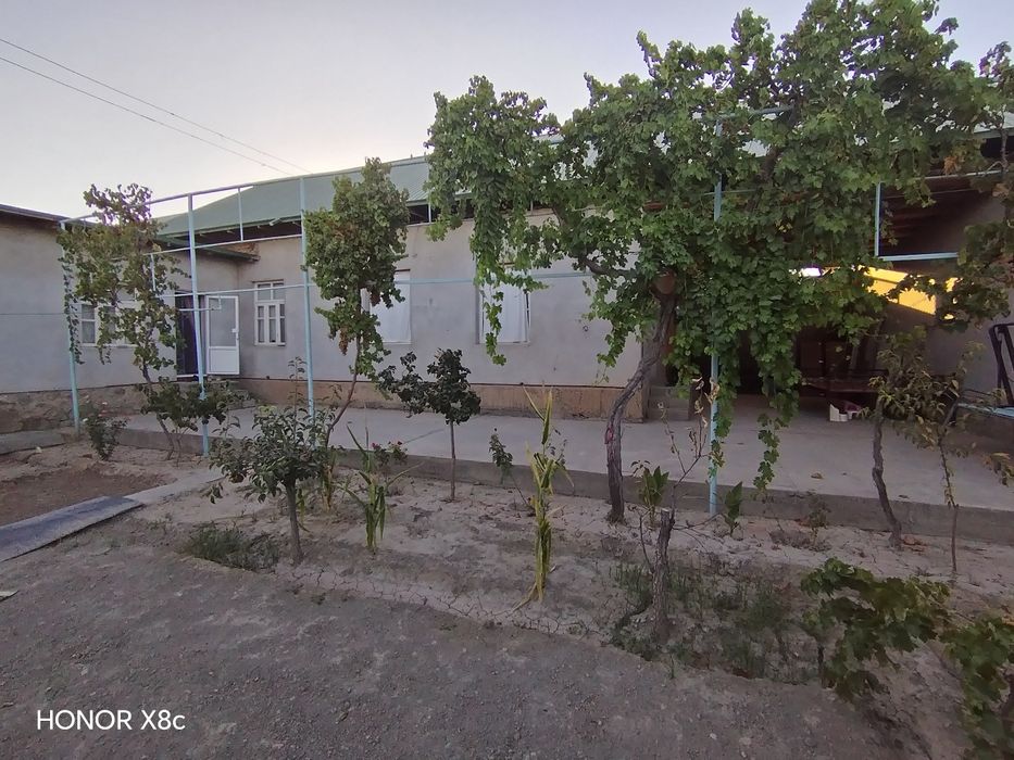 Hovli, cho'tqarada