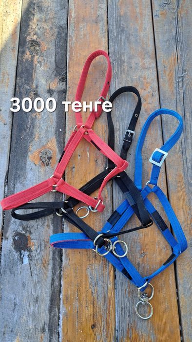 Недоуздок,  нокта