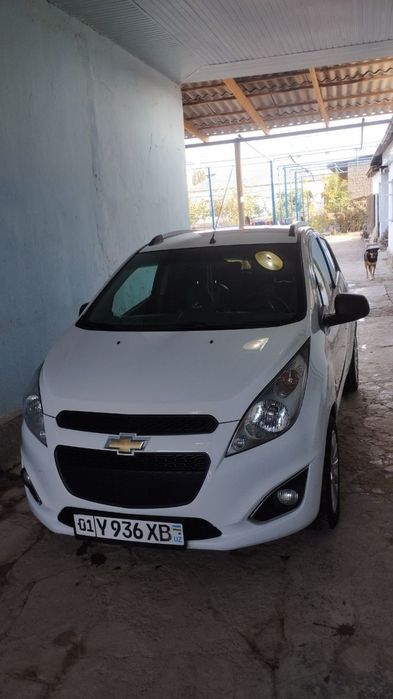 Navarotlari kobilt diska arginali archa balonlari bilan gazi bor