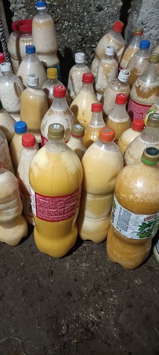 Продаю горный мёд в кабанбае