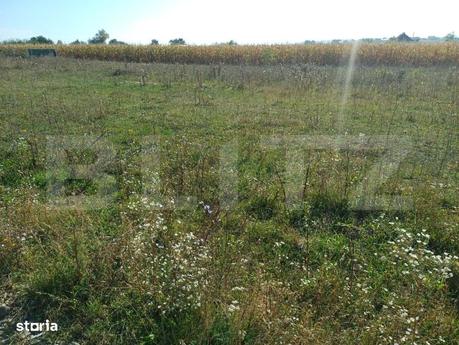Teren de vanzare, 800 mp, zona Sud-Vest