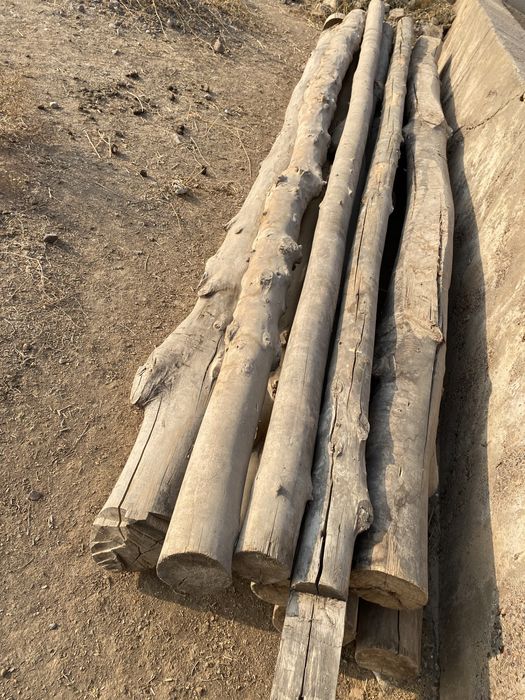 Балкалар сатылады