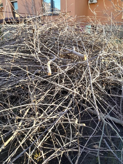 Отдам дрова бесплатно