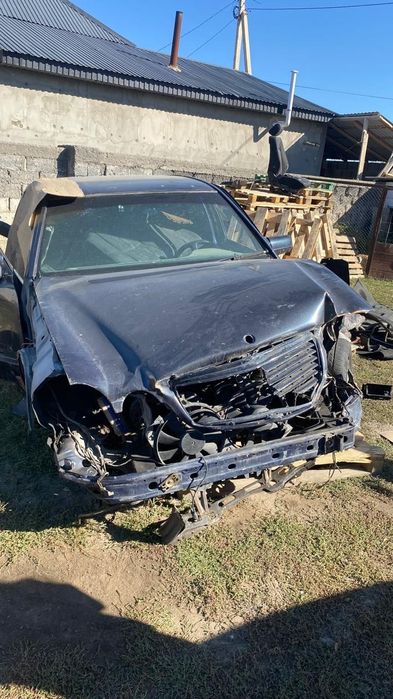 Мерседес лупарик