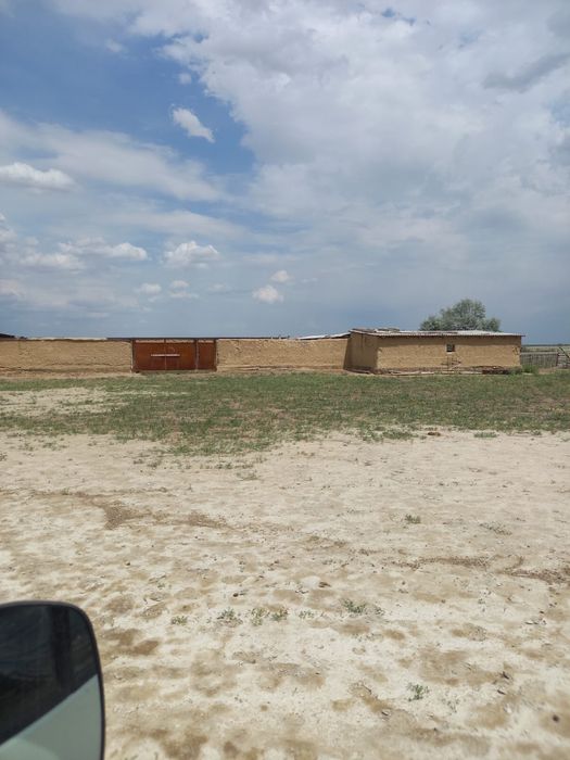 Қорасы мен үй сатылады