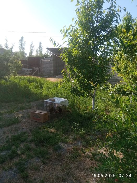 Продается свой дом 7 соток 3 комнаты