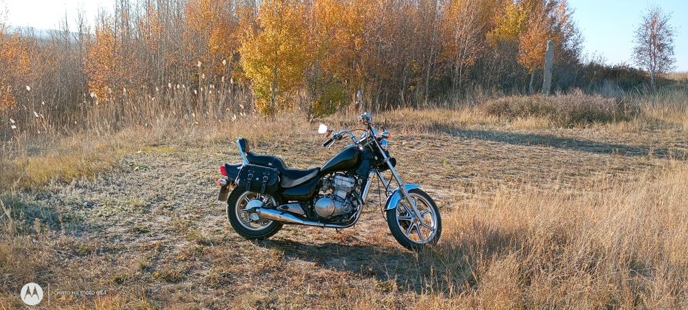 Мот в хорошем состоянии