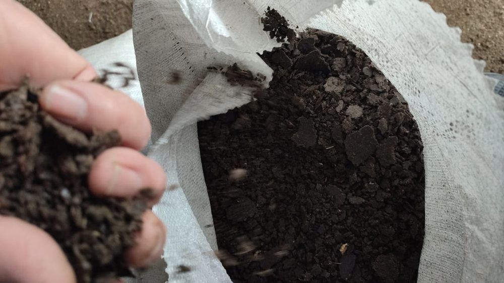 Жмых,корма,корма