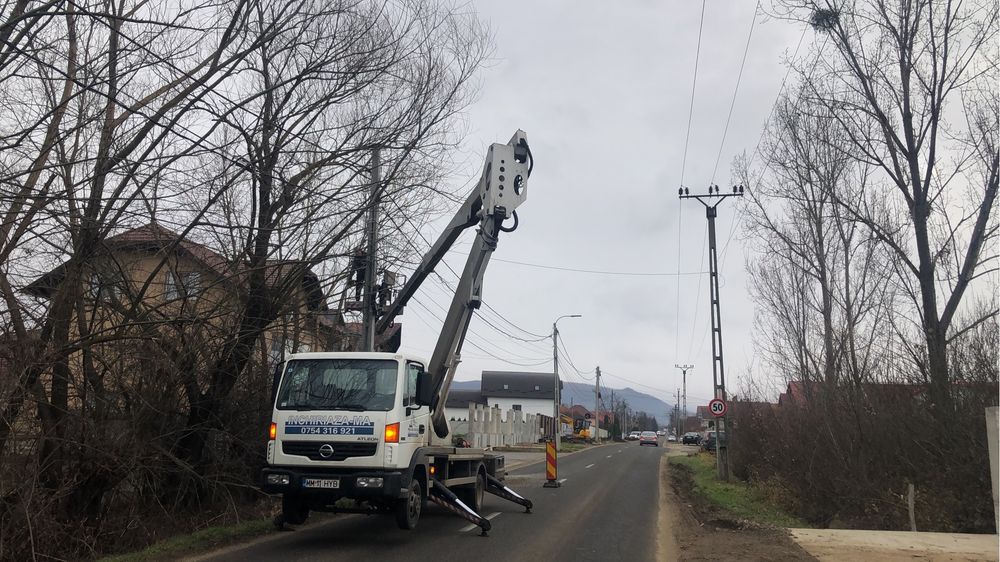 Toaletari arbori , taieri copaci periculosi , defriseri cu Nacela