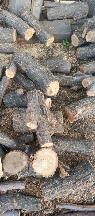 Продам дрова в мешках. Карагач