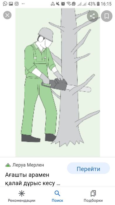 Резка дерева атырау. Тал кесу.