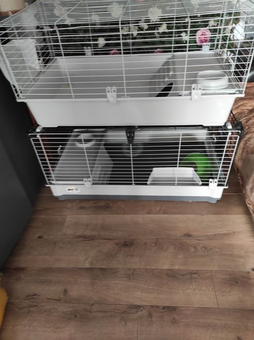 Vând cuști șinșila