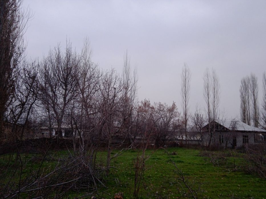 24 sotixli maydon 12 sotixi sotiladi 36000$ srochna