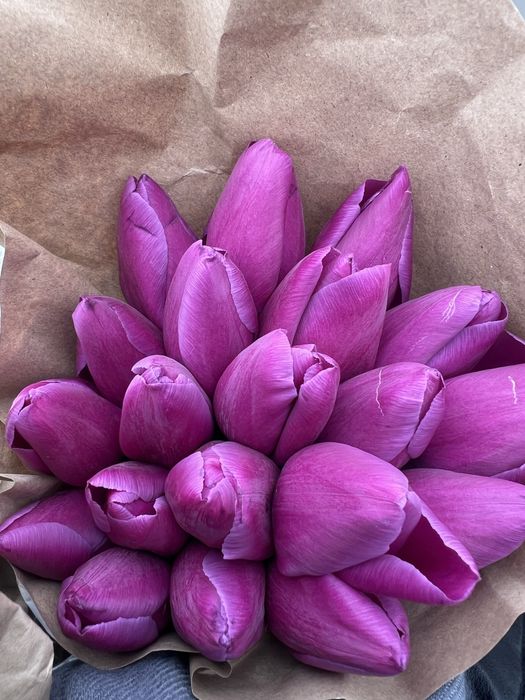 Свежие тюльпаны…