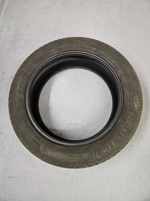 Goodyear EfficientGrip 225 55 19