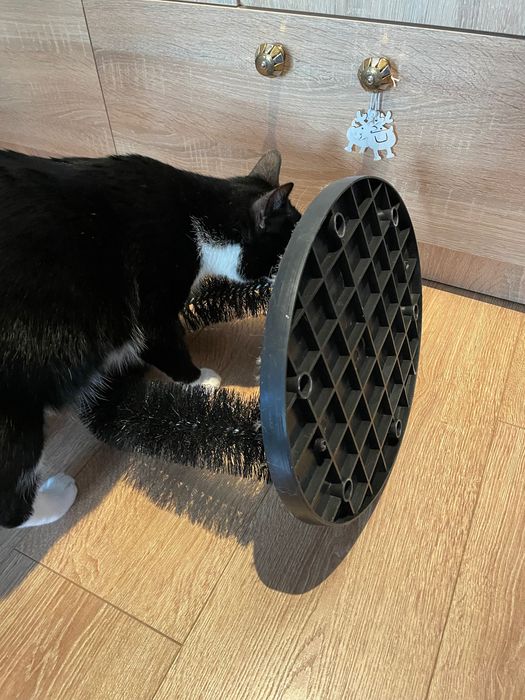 Jucărie pisici de scărpinat