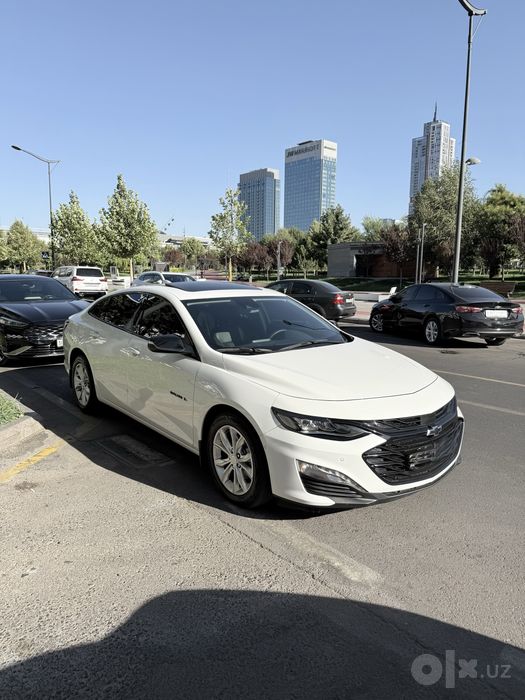 Malibu XL 2023 oq tozza