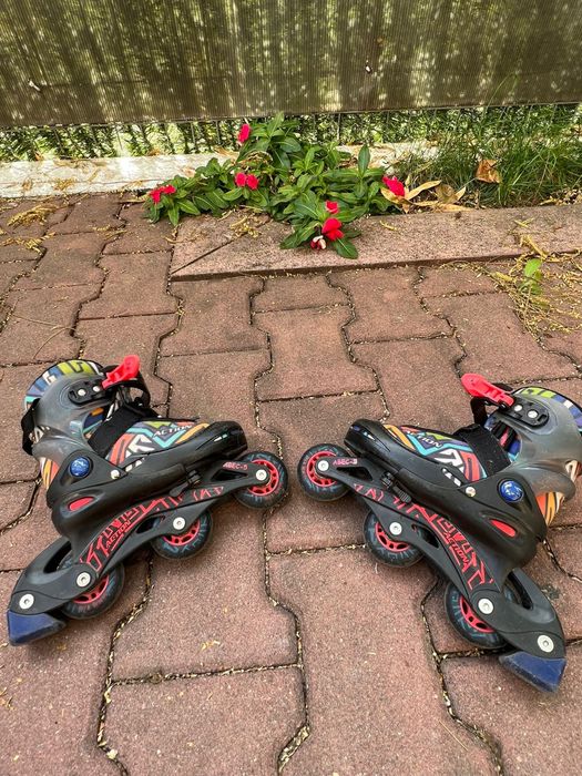 Role / patine /trotinete