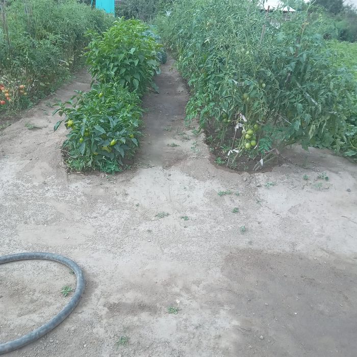 Продам дачу на Солнечной долине.