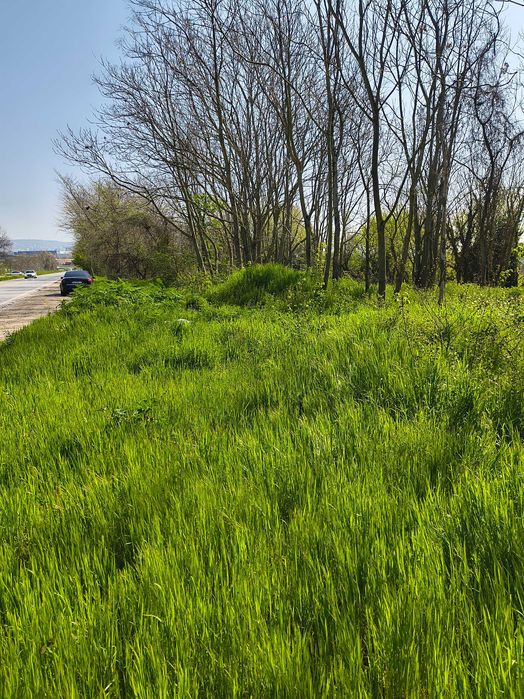 Продава се Парцел в Варна, Възраждане 4 - 1001 кв.м за 80 €/кв.м - Снимка #3