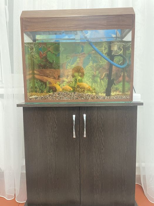 Продаю аквариум без рыбок