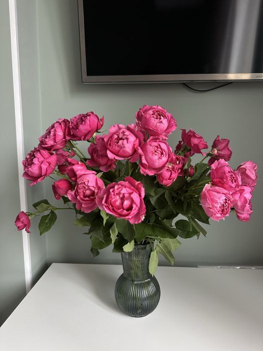 1-комн. квартира 50м2