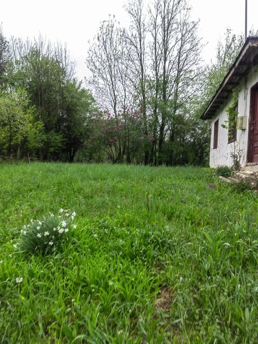 Vând teren în Aluniș, Județul Prahova