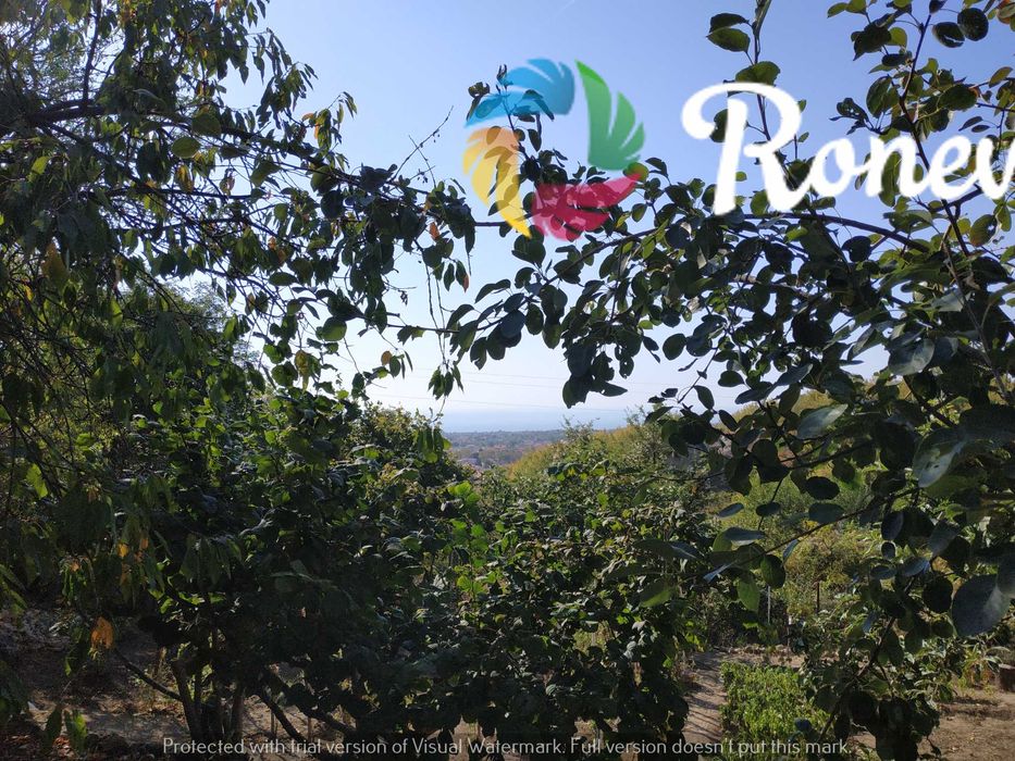 Продава се Парцел в Варна, Виница - 400 кв.м за 159 €/кв.м - Снимка #4