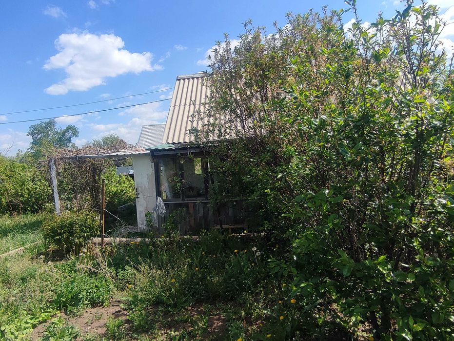 Продаю дачу Натуралист