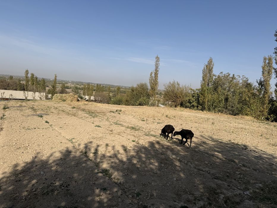 СРОЧНО Продаётся участок 11