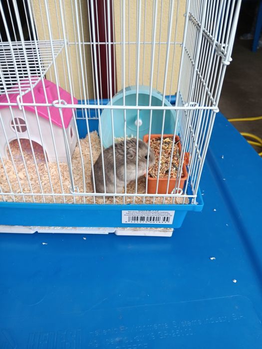 Se vinde ce se vede în poza