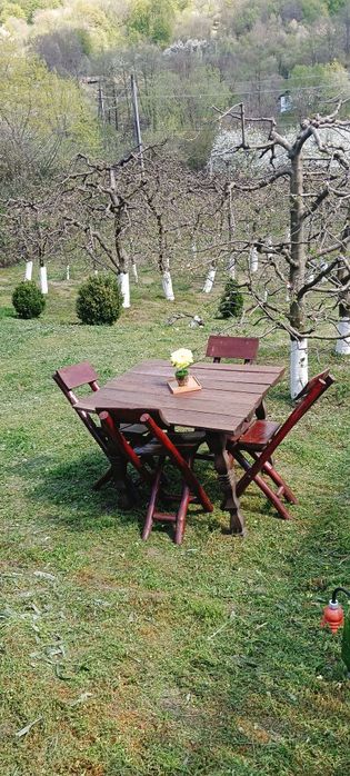 Casă cu teren de vânzare