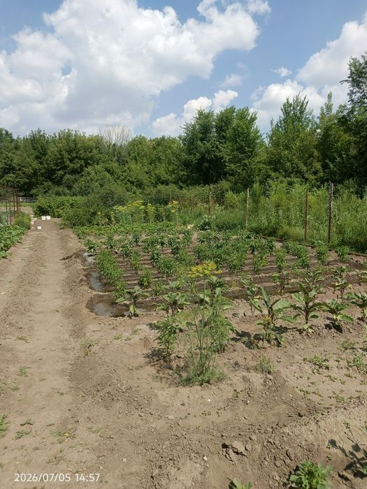 Продам дачу  в районе кривого озера