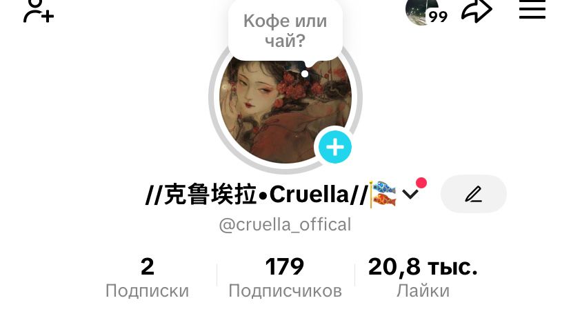 Продаю 2 енота не дорого