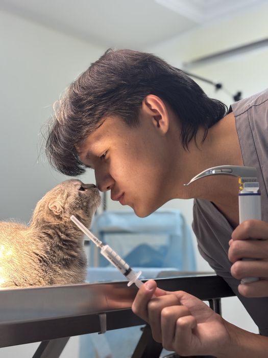 Ветеринар на дом выезд