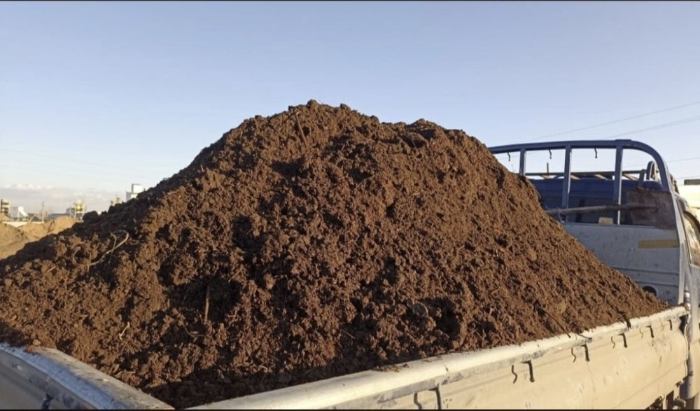 Чернозем и Перегнрй