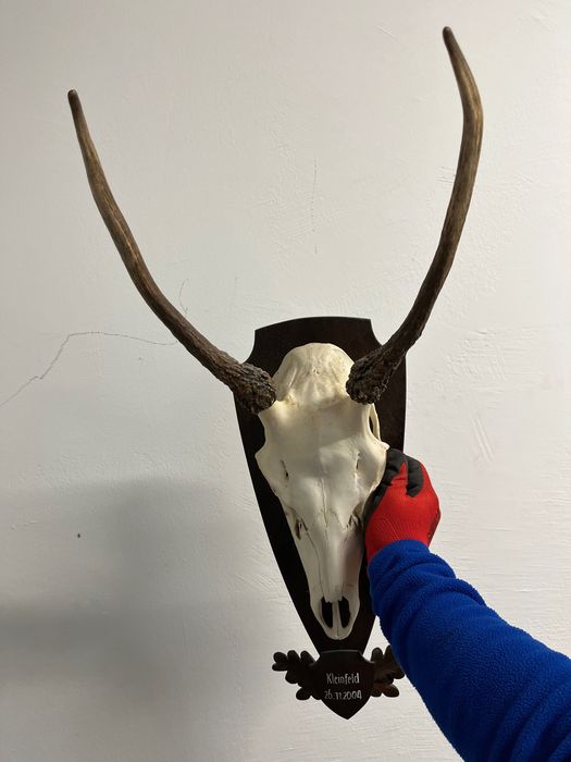 Трофей от шилар, лов и риболов