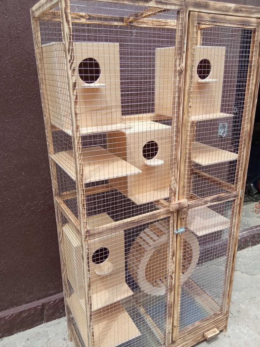 Вольер для белки , белок для размножения