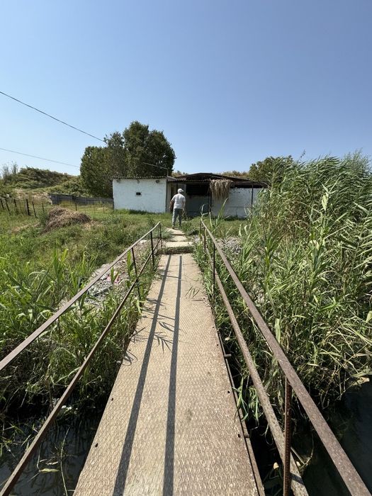 Срочно Йер нархида тайор Ферма обмен бор