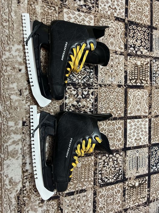 Продам коньки,живые