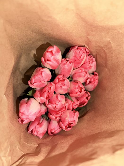 Свежие тюльпаны к 8 марта