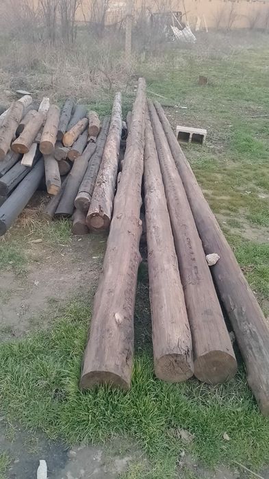 Агаштар сатылады келисимди багада