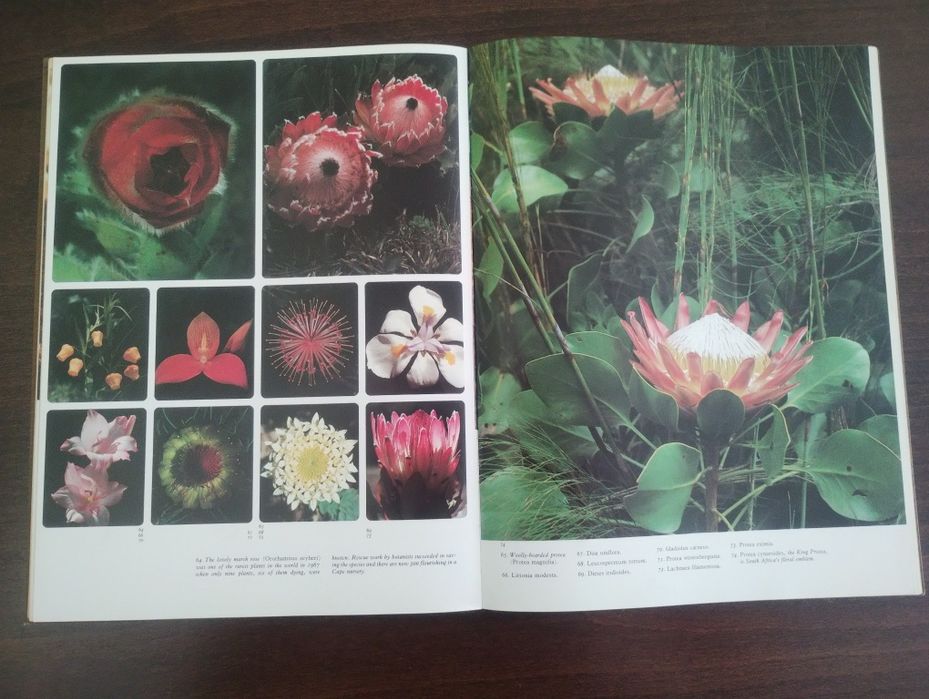 Фотоалбум Южно Африканска мозайка